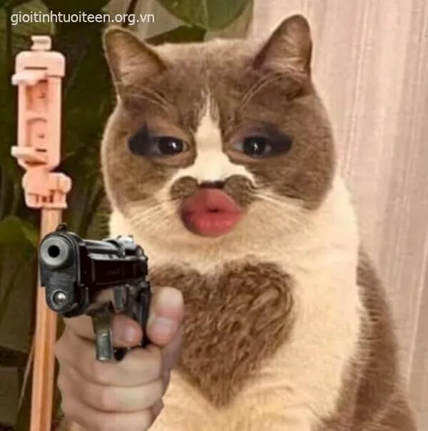 Meme chế cực gắt với súng và caption troll