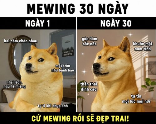 Tổng hợp mewing meme face hài hước siêu lầy lội
