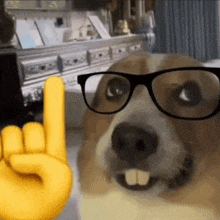 Nerd dog GIF