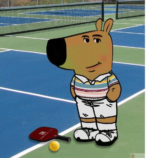 Pickleball meme – Bộ ảnh chế vượt mức siêu hài hước nhất