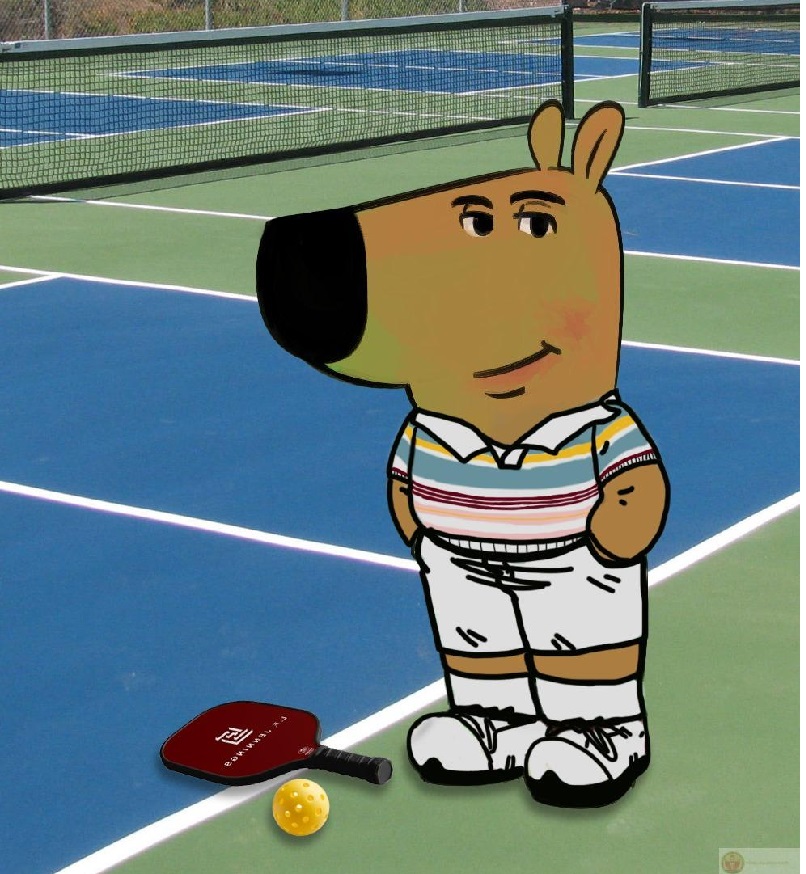 Pickleball meme – Bộ ảnh chế vượt mức siêu hài hước nhất