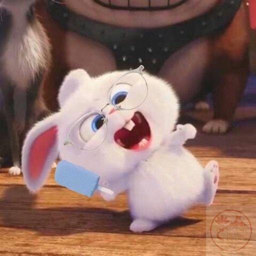 Snowball xuất hiện trong meme luôn làm không khí trò chuyện trở nên nhẹ nhàng
