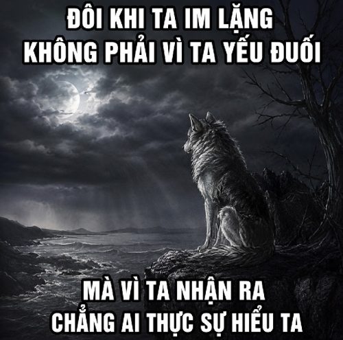 Sói cô độc meme – Sưu tầm ảnh chế ngầu dị siêu chất nhất
