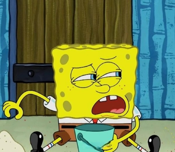 SpongeBob meme daily