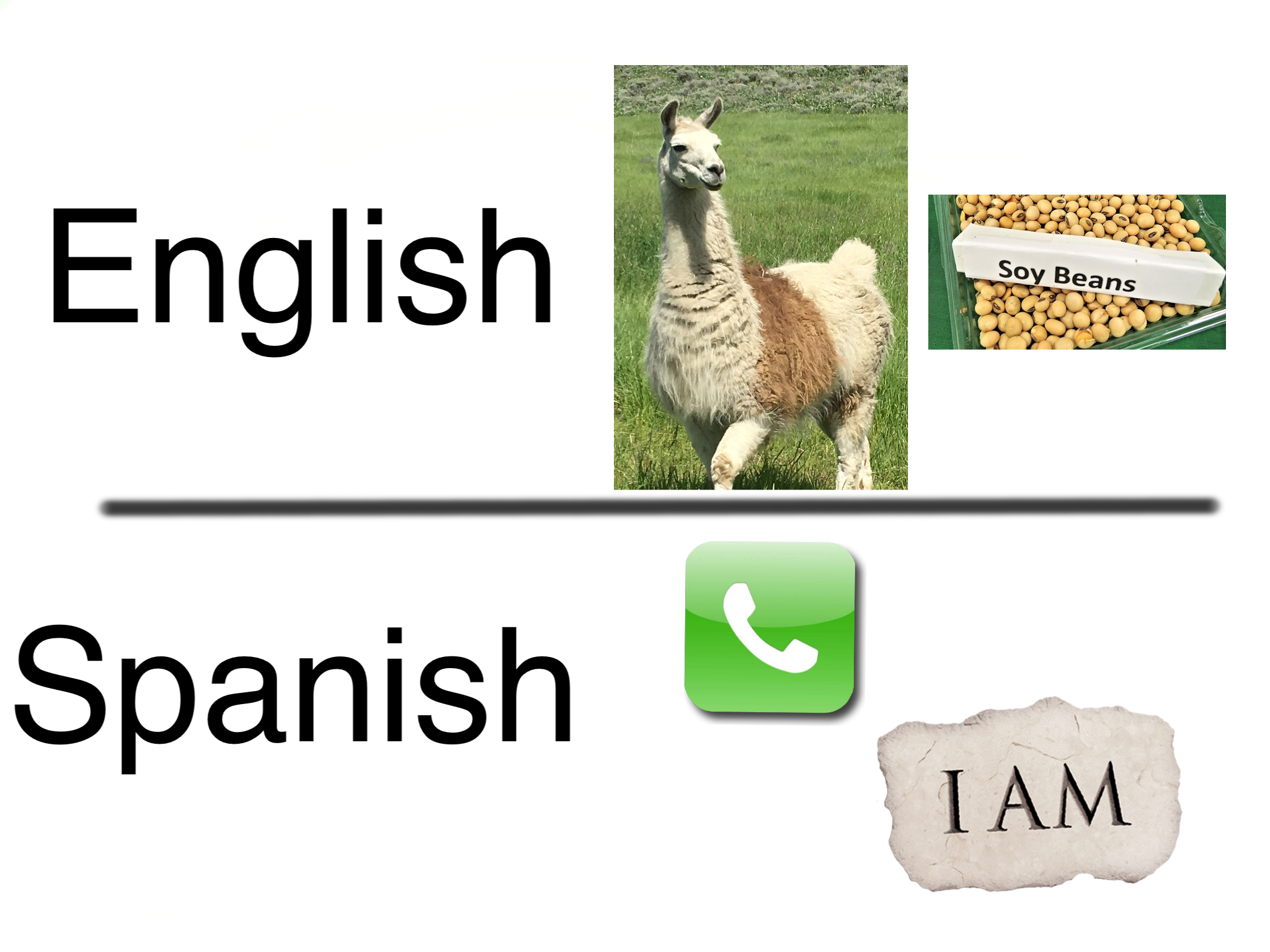 Spanish vs. English. Try Google translate : r/memes