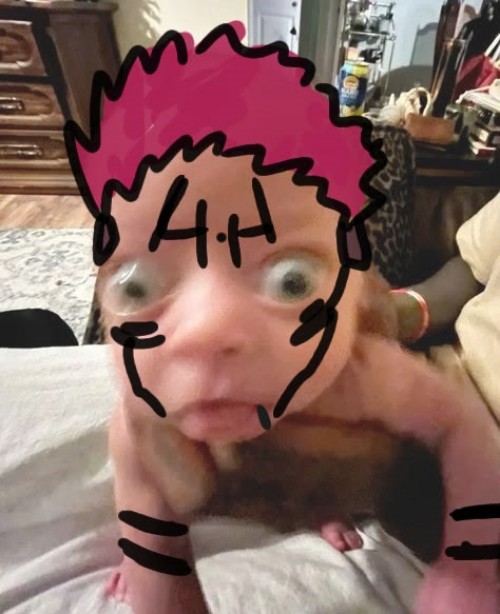 Sukuna meme