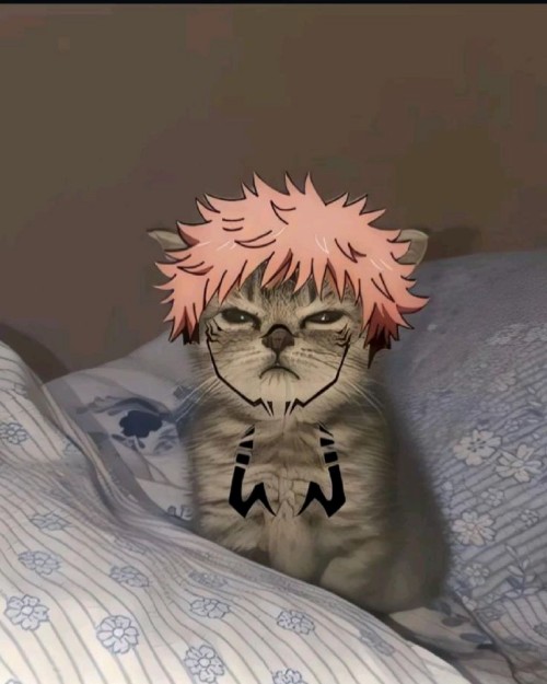 Sukuna meme