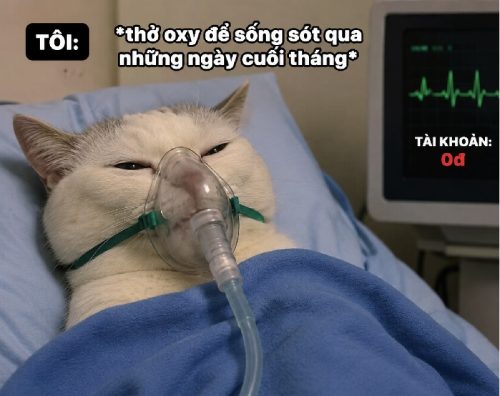Thở oxy meme – Bộ ảnh chế siêu hài hước bựa bóng đá nhất