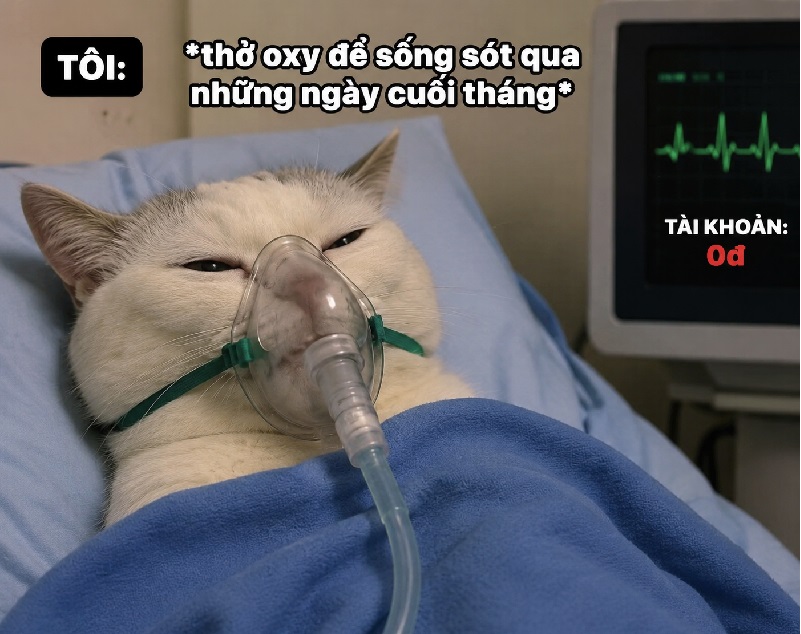 Thở oxy meme – Bộ ảnh chế siêu hài hước bựa bóng đá nhất