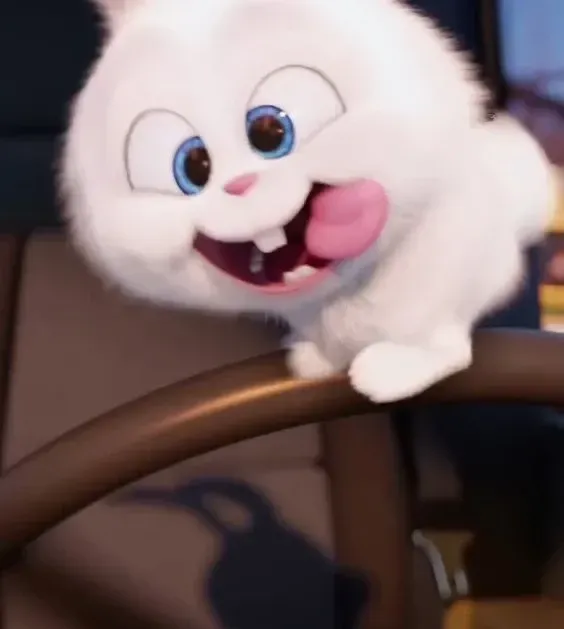 Tổng hợp 50+ hình ảnh thỏ snowball meme đáng yêu và hài hước nhất