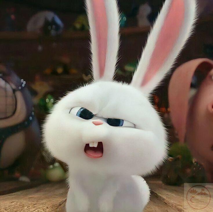 Tiếng cười bật ra ngay khi nhìn dòng chữ gắn cùng Snowball meme
