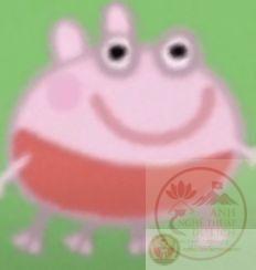 Tiếng cười nhẹ nhàng thường đến từ những chi tiết tưởng chừng đơn giản