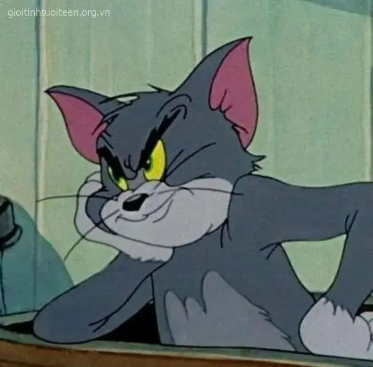 Ảnh Tom bối rối khi bị Jerry phát hiện bí.