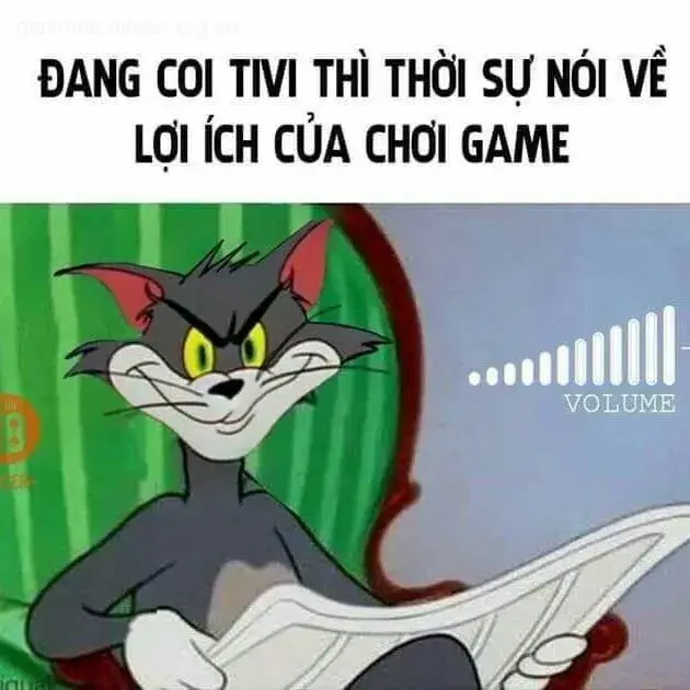 131