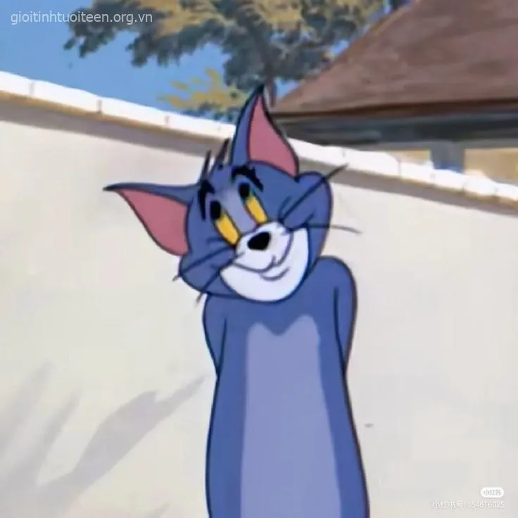 68