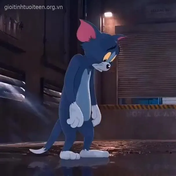 84