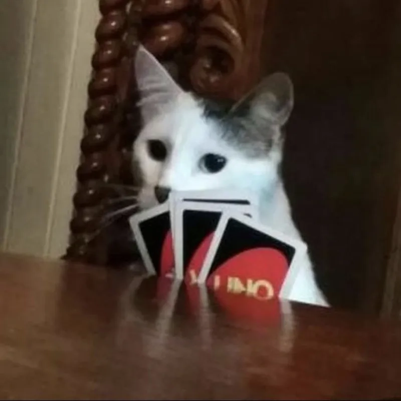 Uno meme - Bộ ảnh chế lá bài đảo ngược siêu hài bá đạo 4 Đỉnh cao của sự troll chính là meme lá bài uno hot trend hiện nay