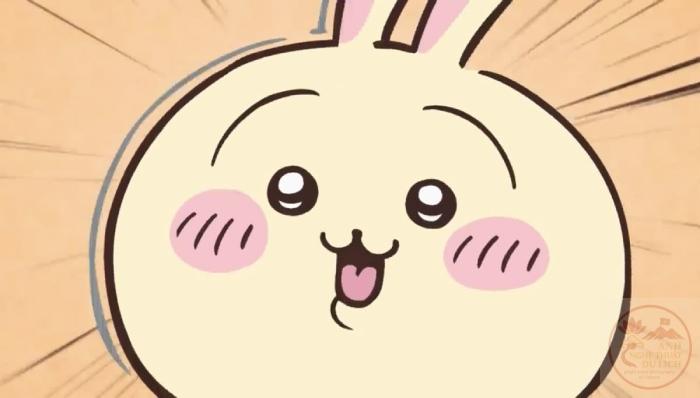 usagi chiikawa meme