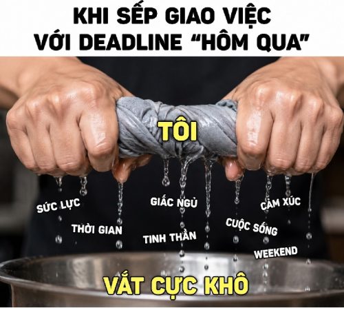 Vắt cực khô meme – Bộ ảnh chế siêu hài hước bựa nhất MXH