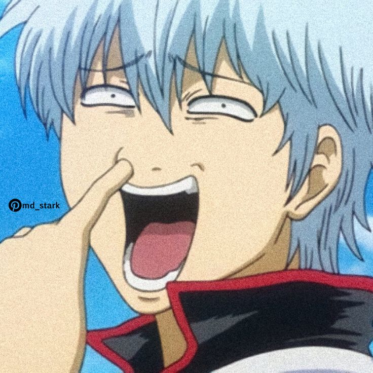 Sakata Gintoki (Gintama Anime)