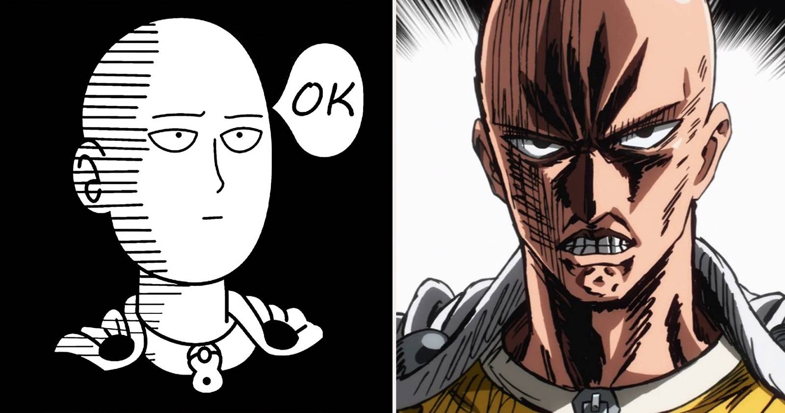 10 Hilarious One-Punch Man Memes Only True Fans Understand