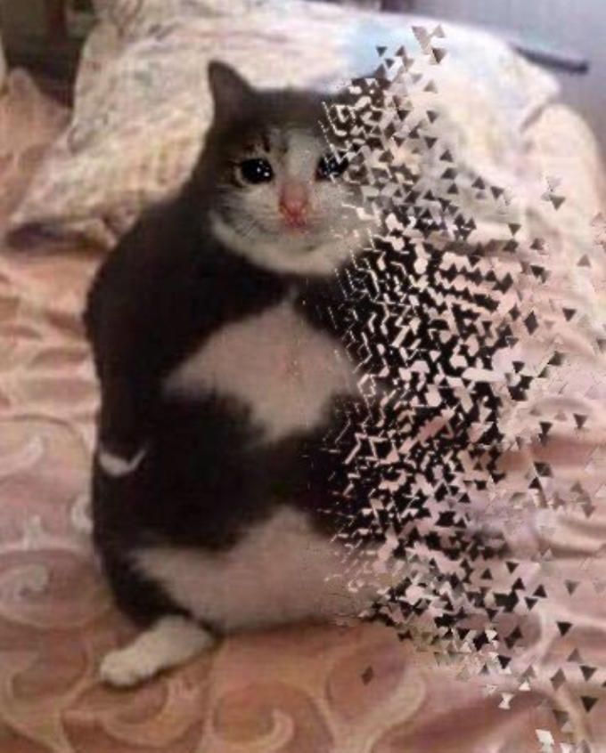 Disappear meme dành cho hội hay gặp những pha xử lý đi vào lòng đất.