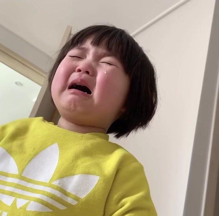 19 anh mo ta