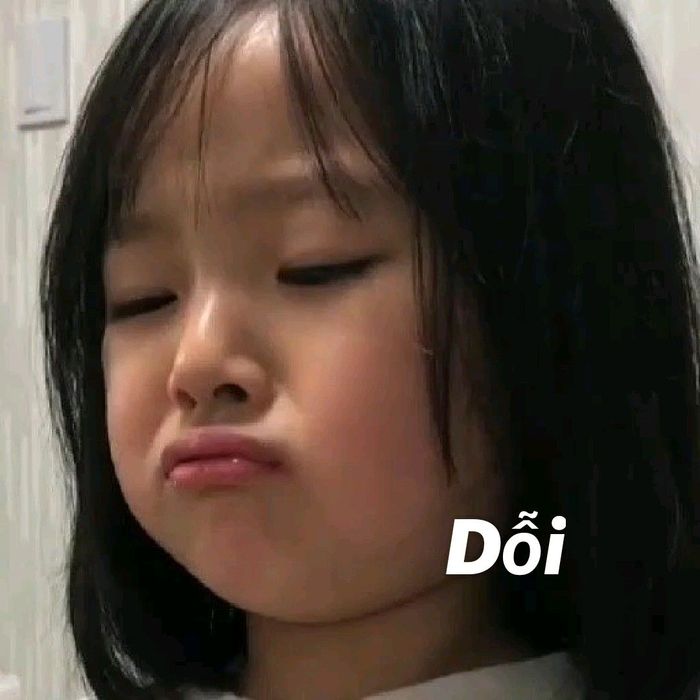 24 anh mo ta