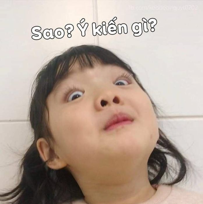 44 anh mo ta