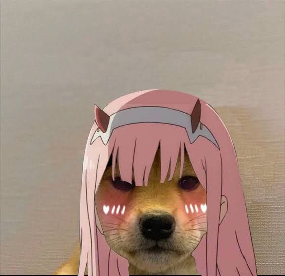 ZeroTwo dogwifhat >.<