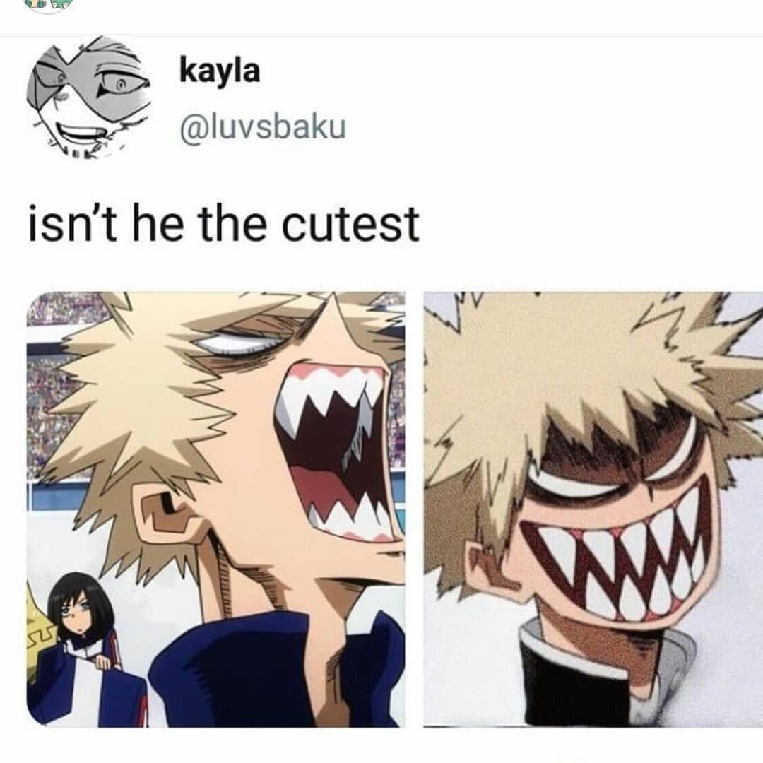Bakugo Katsuki meme dành cho hội nóng tính nhưng có tài.