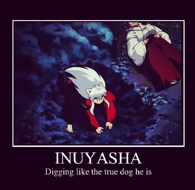 Inuyasha || anime funny