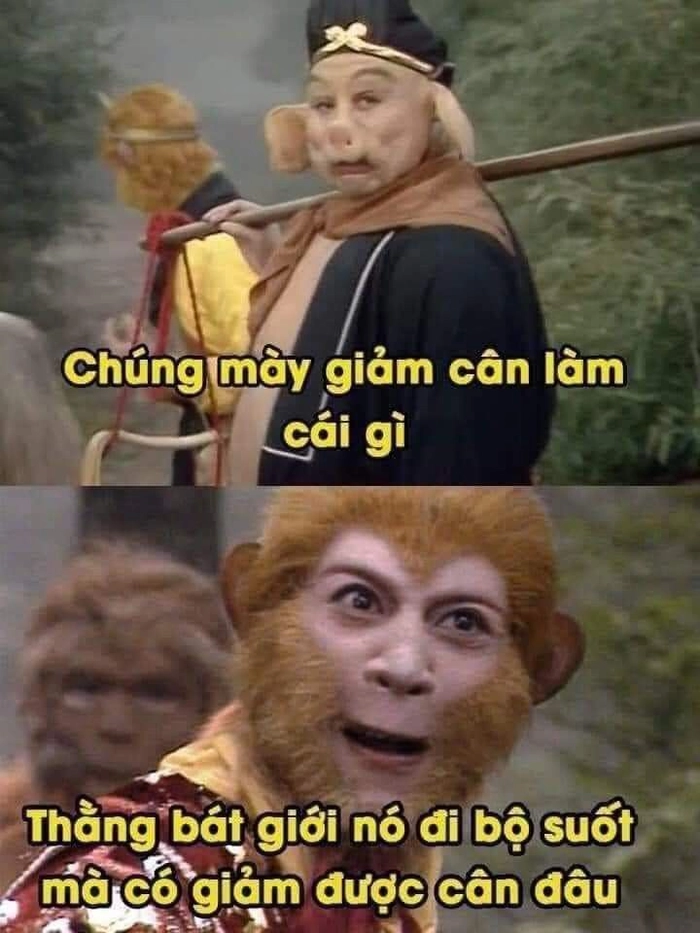 Biểu cảm này hợp mọi tình huống muốn cà khịa nhưng vẫn lịch sự
