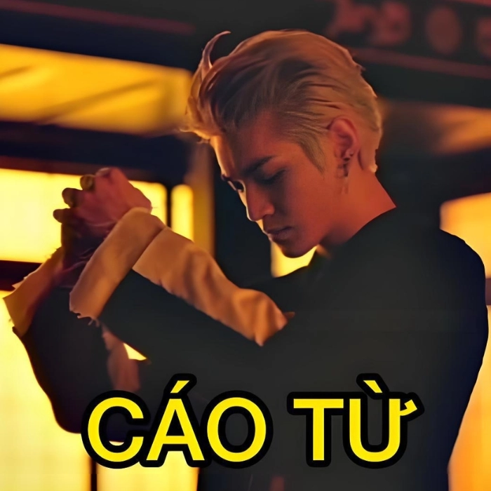 Cáo từ meme khép lại mọi tình huống bằng một nụ cười bất lực.