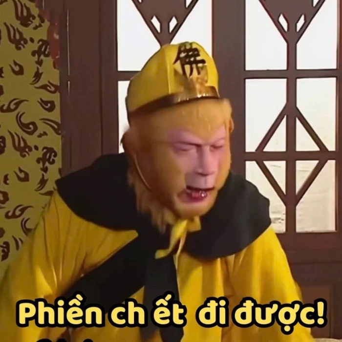 Biểu cảm này thay lời muốn nói đừng thử thách sự kiên nhẫn nữa