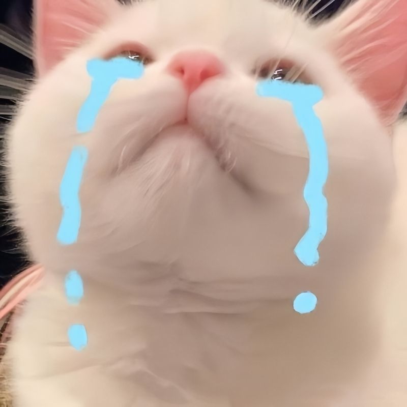 Hinh-anh-meme-meo-xin-loi-dang-yeu-5