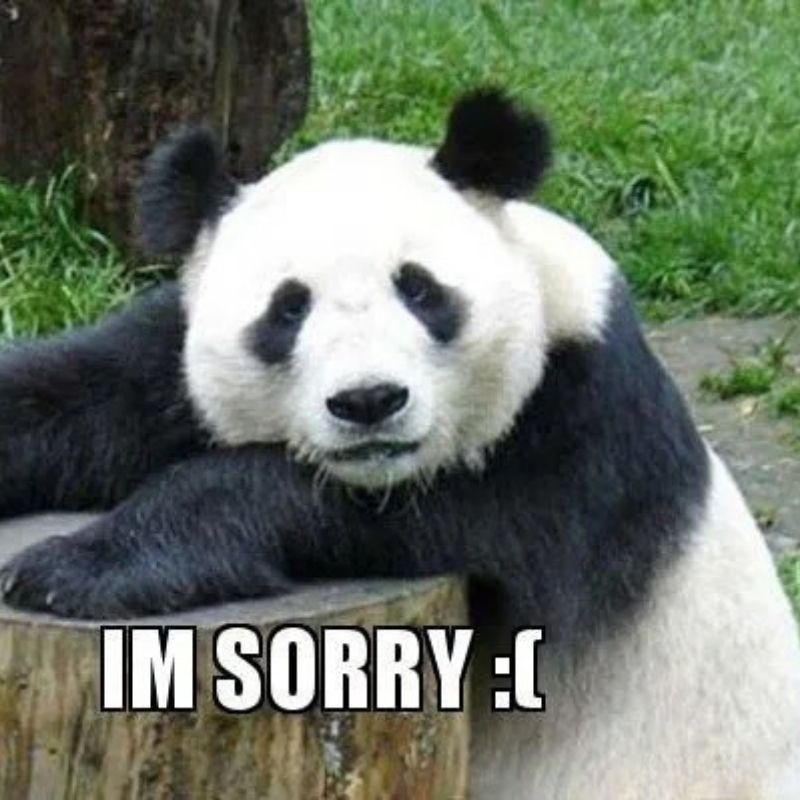 Hinh-anh-meme-xin-loi-day-hai-huoc-1