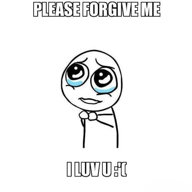 Hinh-anh-meme-xin-loi-day-hai-huoc-2