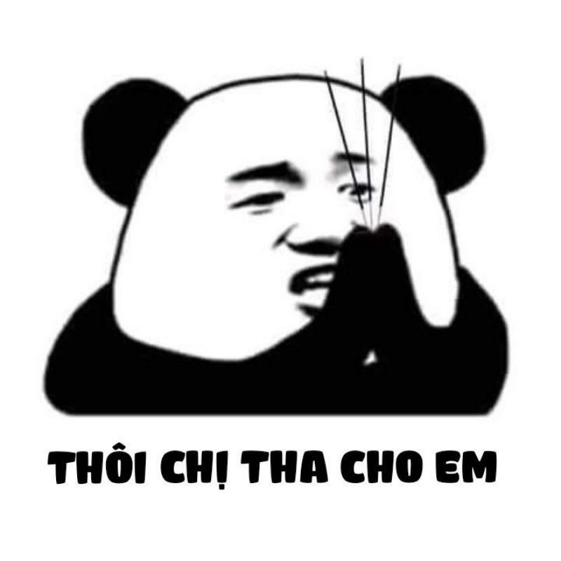Hinh-anh-meme-xin-loi-day-hai-huoc-4
