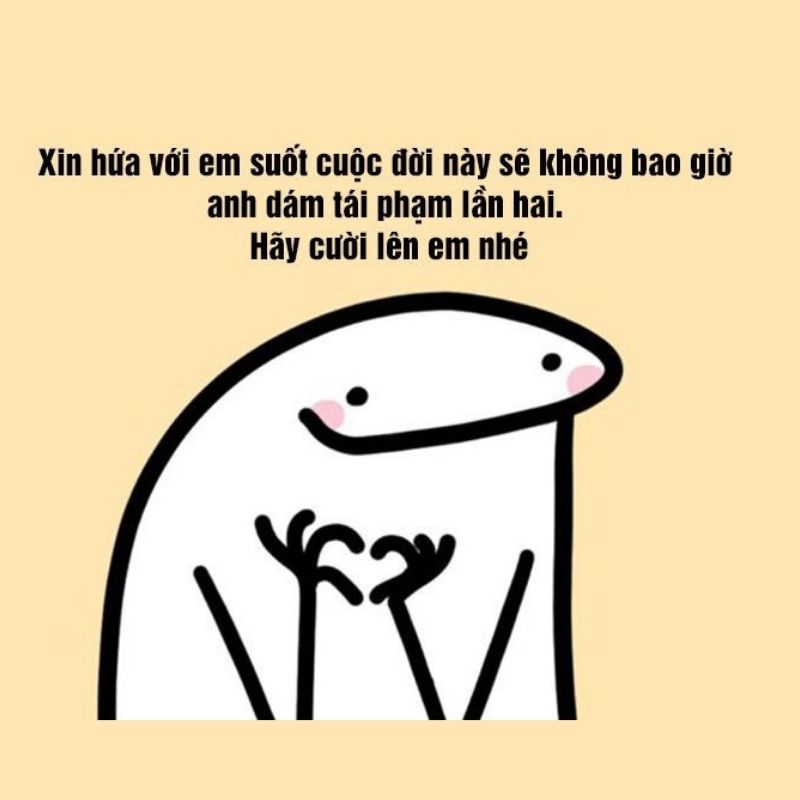 Hinh-anh-meme-xin-loi-day-hai-huoc-7