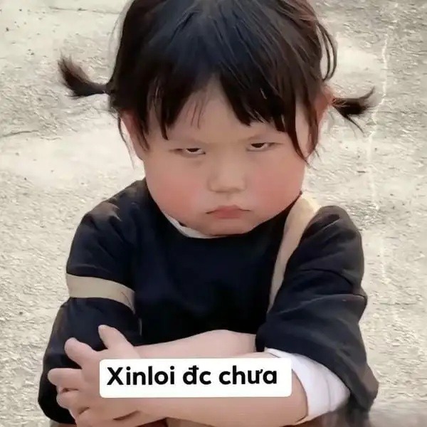 Hinh-anh-meme-xin-loi-duoc-chua-4