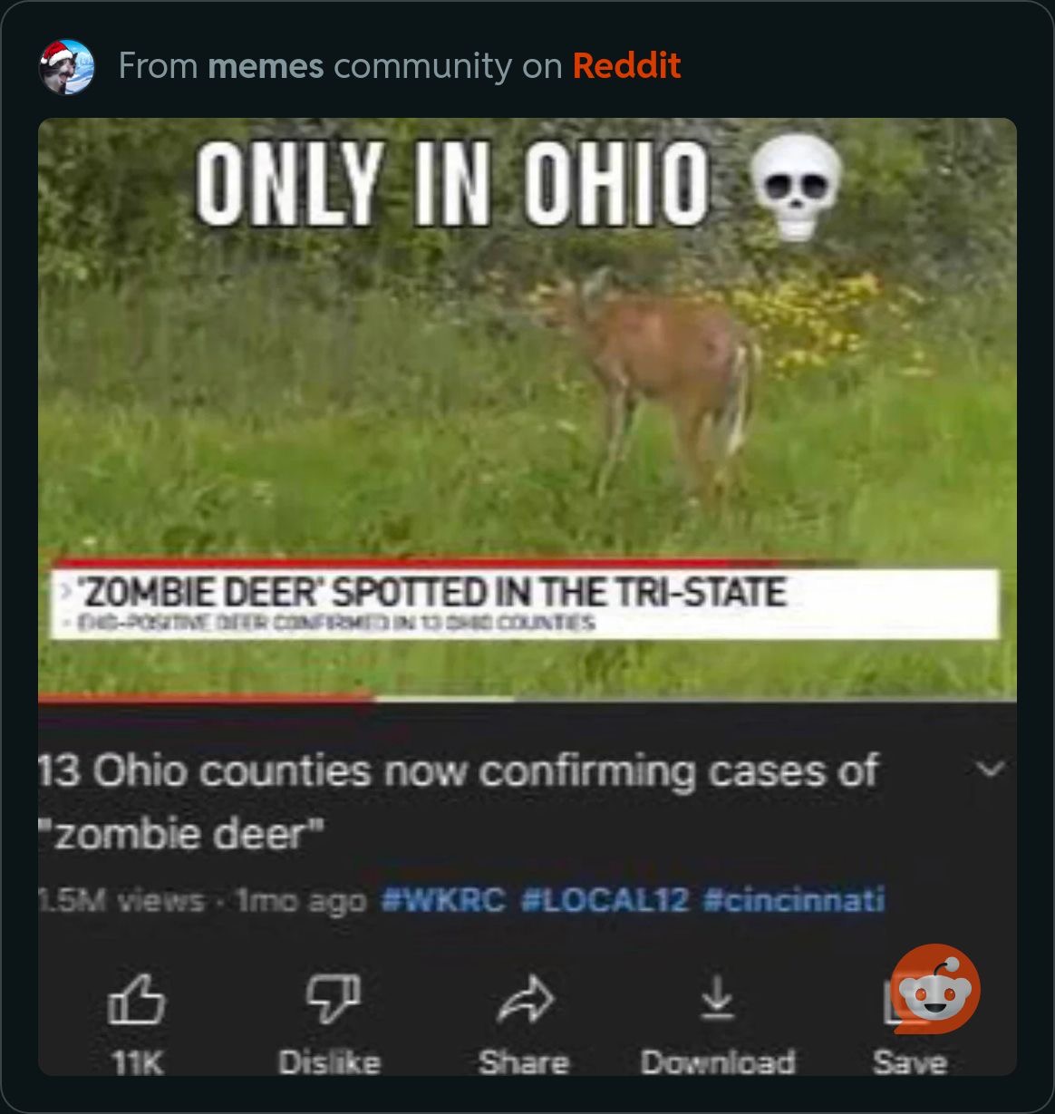This Ohio-related meme was the second-most googled meme in the country this year - 614NOW