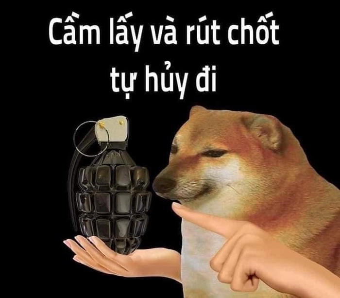 Ngầu meme troll vui