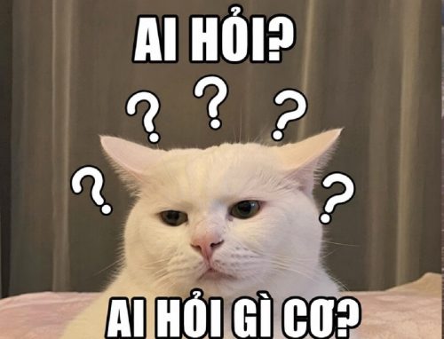 Meme ai hỏi – Bộ ảnh chế bộ trưởng trả lời siêu hài bựa