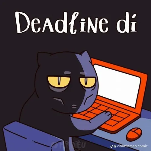 Meme hài ánh mắt cầu xin deadline tha