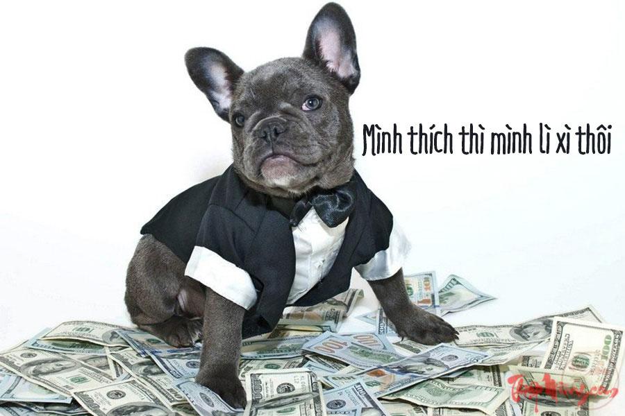 Meme lì xì quá hợp để đăng dịp Tết.