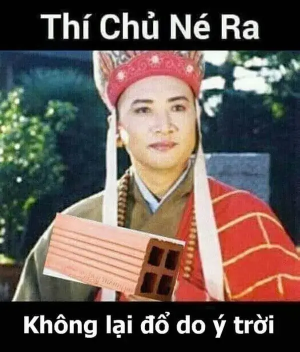 Ảnh vui ý trời kiểu buông xuôi thôi