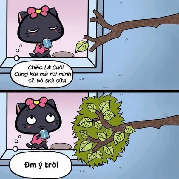 Ảnh chế số phận trêu ngươi quá mức