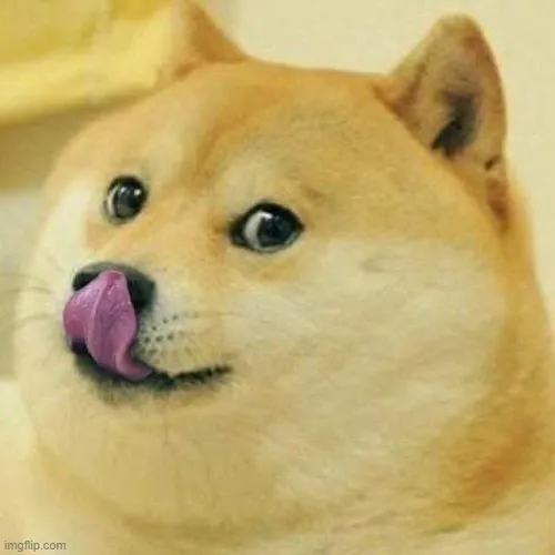 Meme Shiba liếm môi