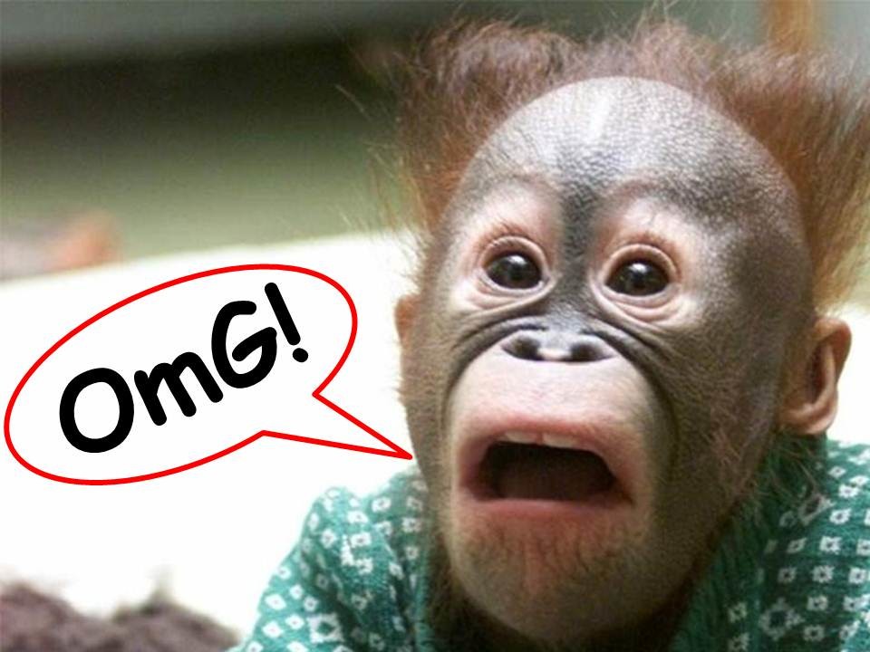 Omg meme xuất hiện đúng lúc mọi kế hoạch đồng loạt phá sản.